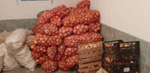 122519824_2963484540418810_4848038779067934400_o