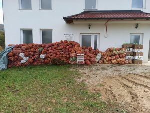 122751871_992567611255452_7871740431682188413_n