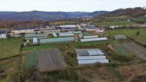 116331393_1502627103274146_2346655770381787845_o (Medium)