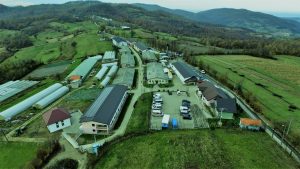 121833884_1577362172467305_1856267105567484895_o (Medium)