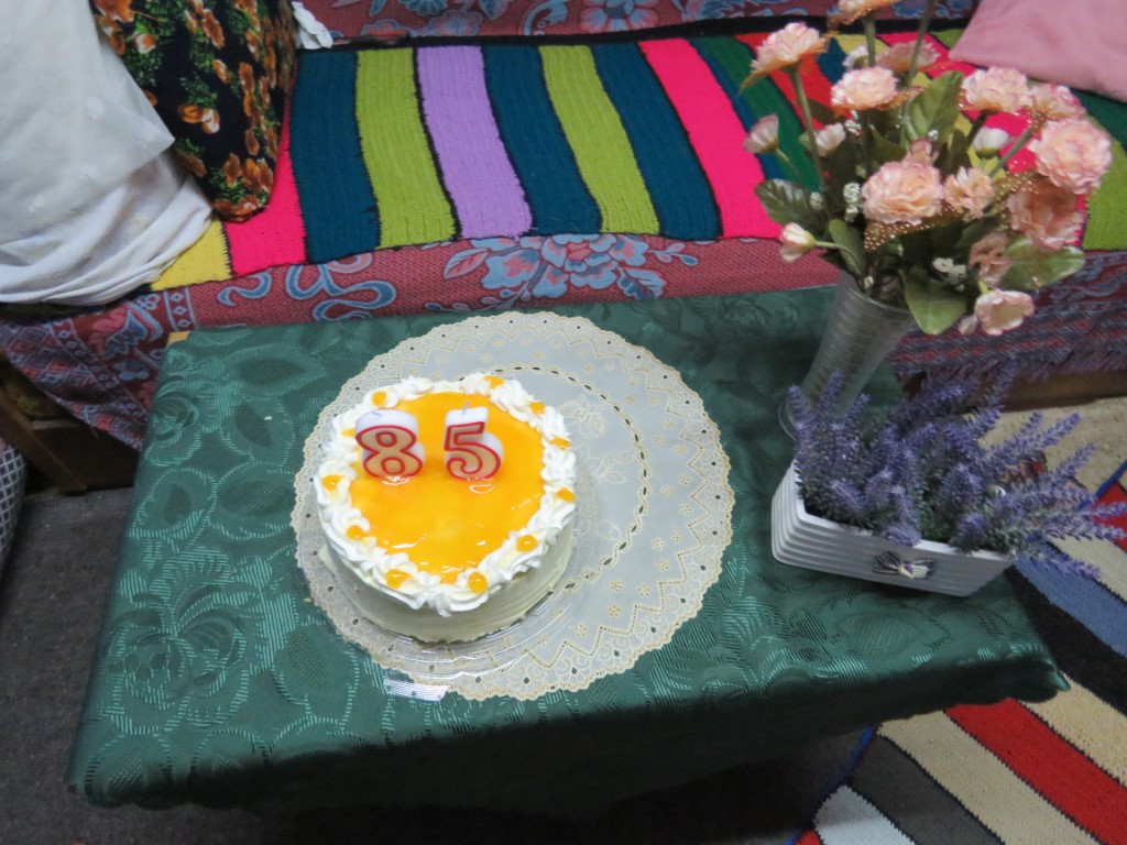 IMG_5288 (Medium)