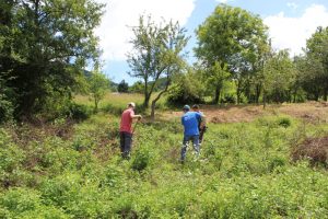 IMG_7527 – kopija (Medium)