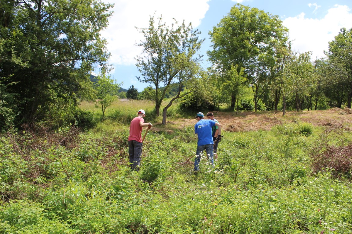 IMG_7527 – kopija (Medium)