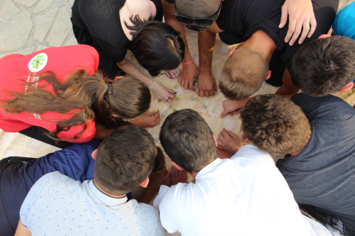 IMG_7868 – kopija (Medium)