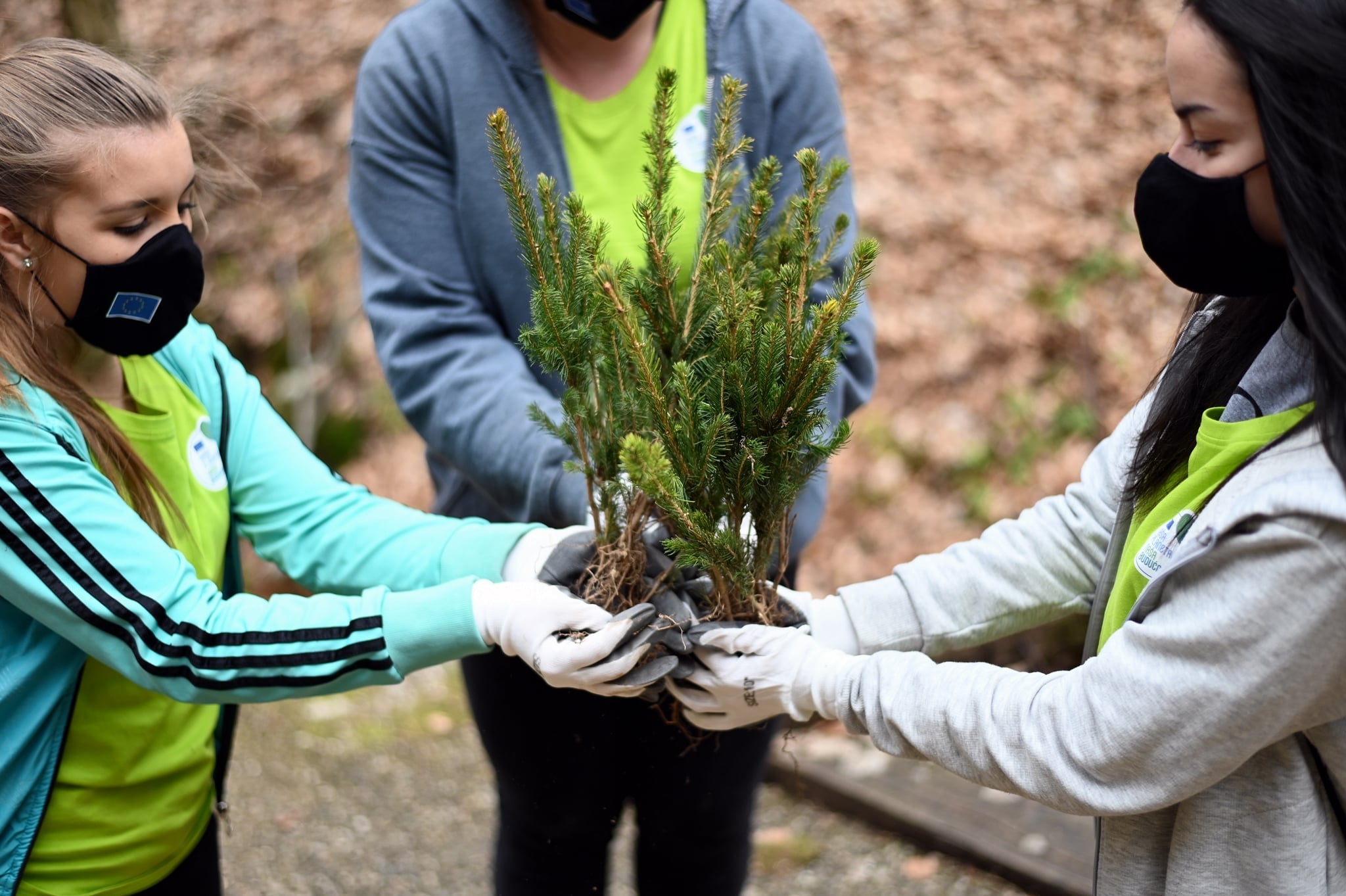 173719156_1724045781132276_1487465772792604589_n