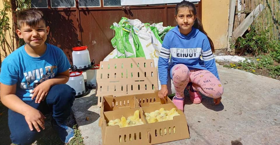 CHICKENS AND ANIMAL FOOD FOR FATTENING DISTRIBUTED TO ORPHAN FAMILIES