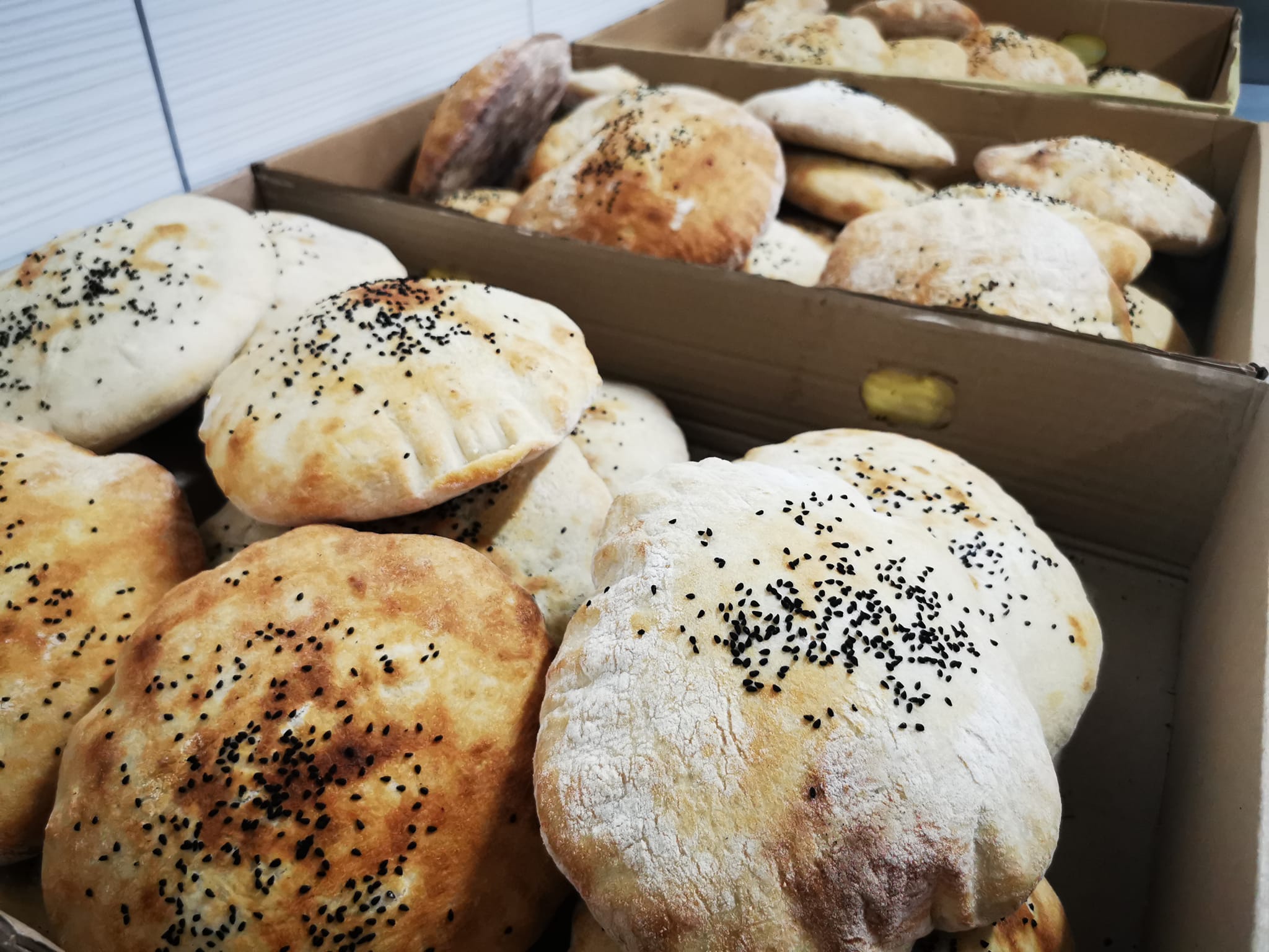 428712244_744761464430419_8256795108926609300_n