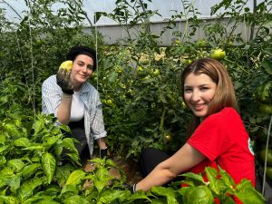 517768412_1069629315276964_8807039144085934815_n