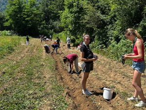 518330791_1069629425276953_5417629913825326004_n